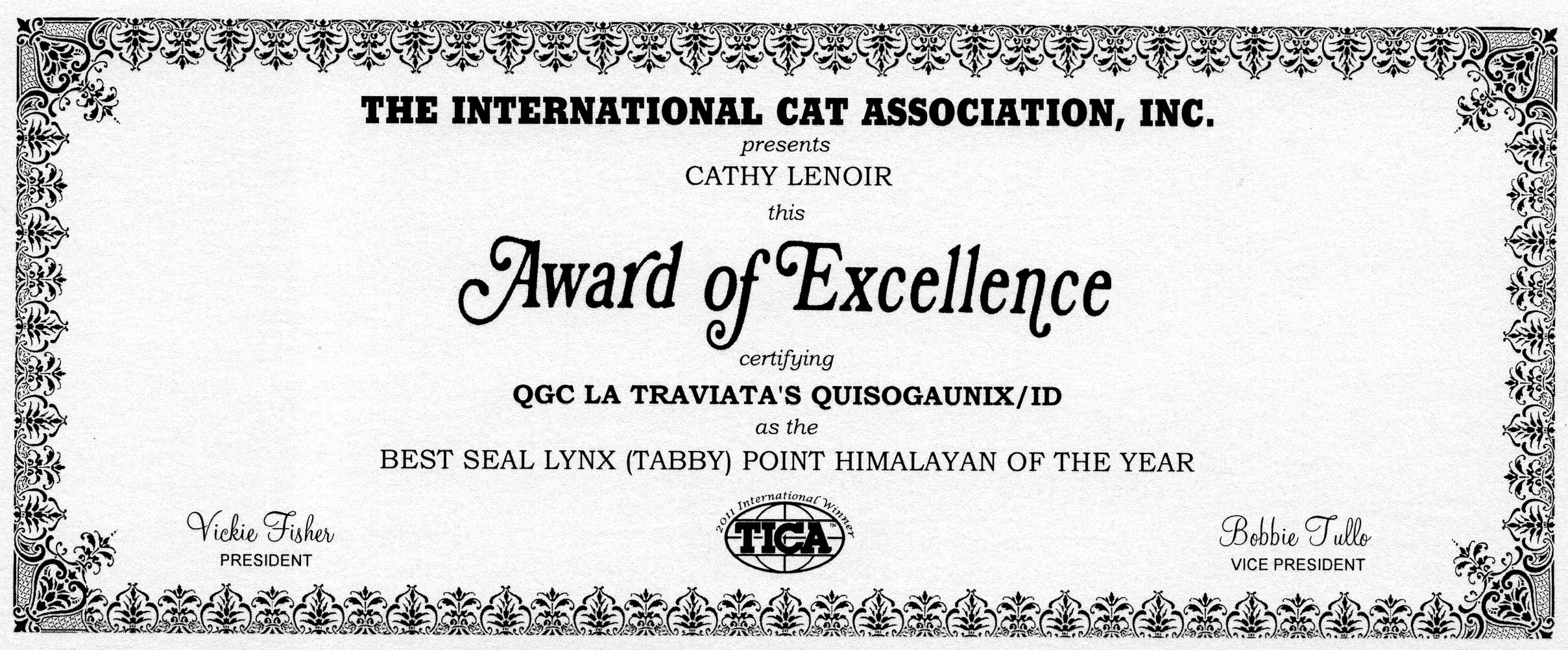BEST CAT TICA QUISAUGONIX