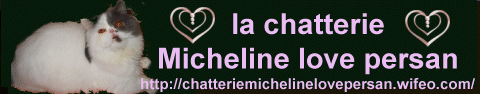 http://chatteriemichelinelovepersan.wifeo.com/
