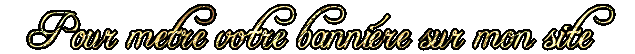 metre votre banniere sur mon site